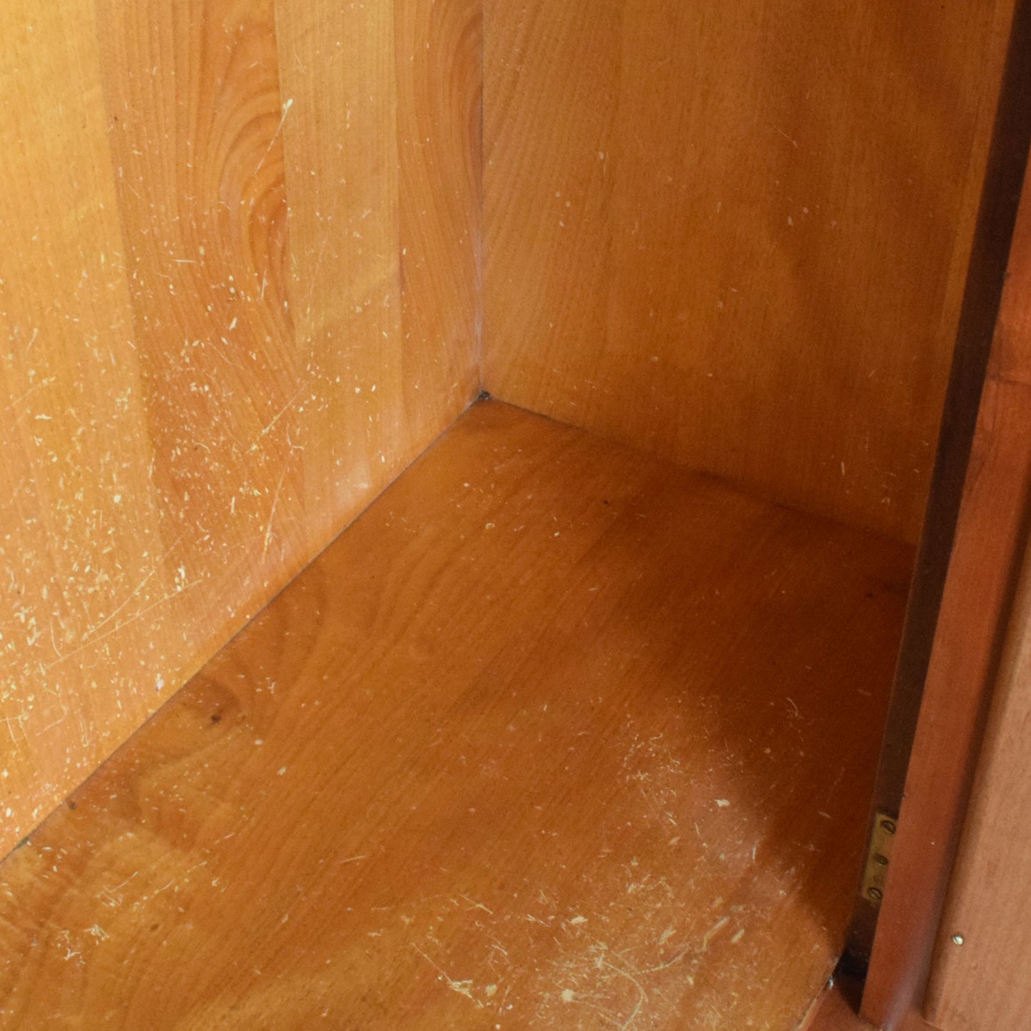 Restored Mirrored Hallrobe