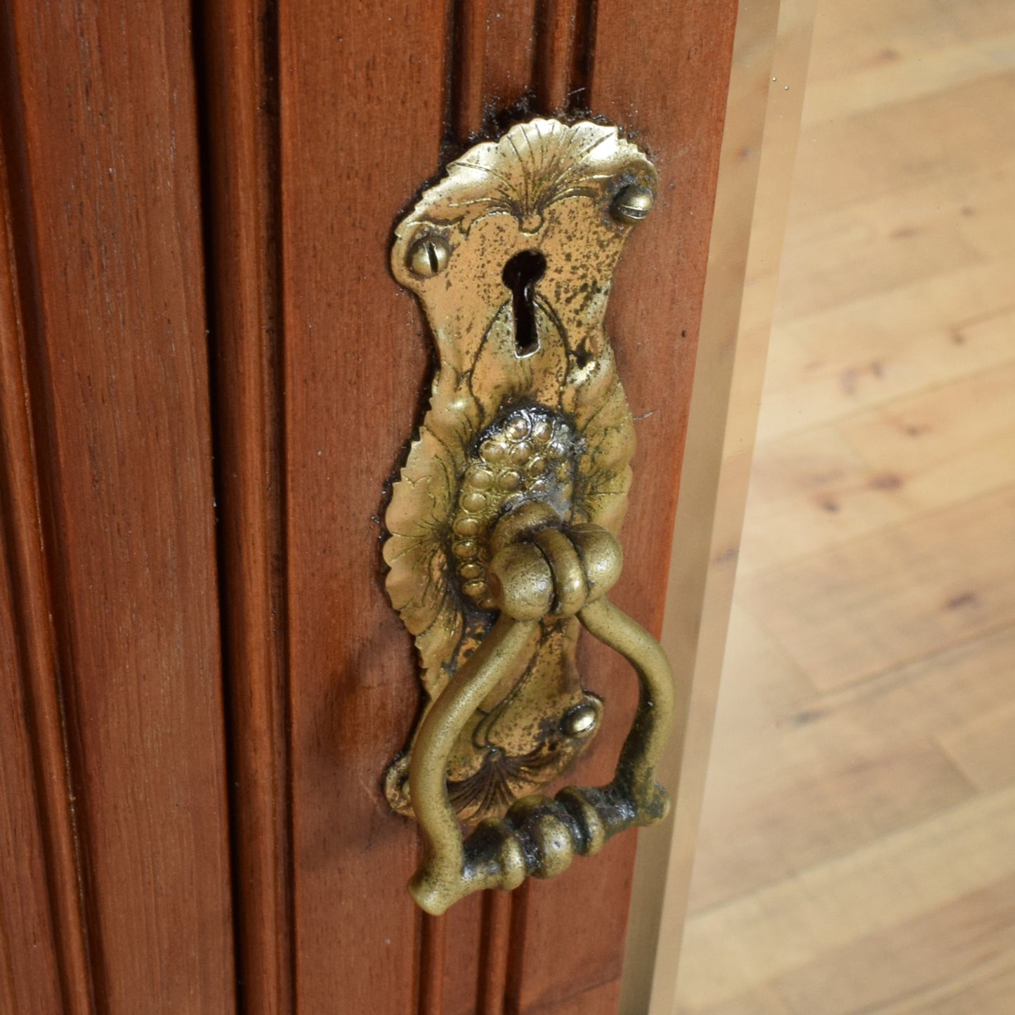 Mirrored Oak Hall Robe