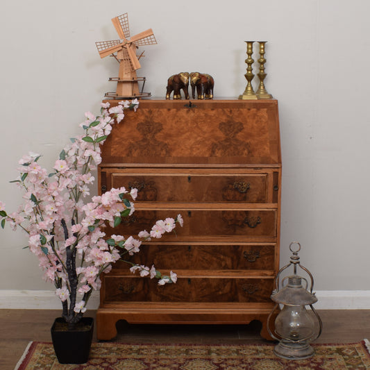 Walnut Veneer Bureau