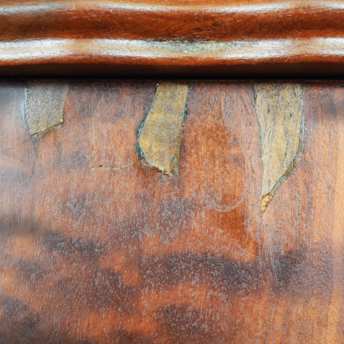 Large Mahogany Compactum