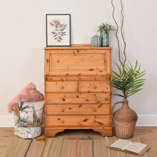 Pine Bureau