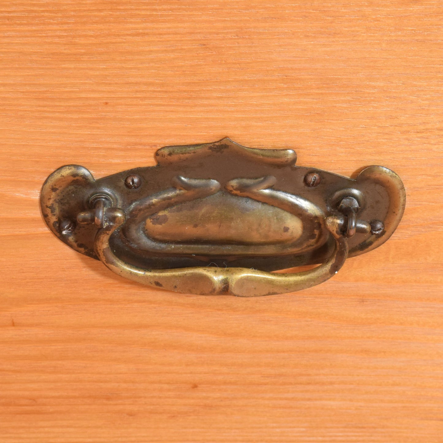 Restored Pine Hallrobe