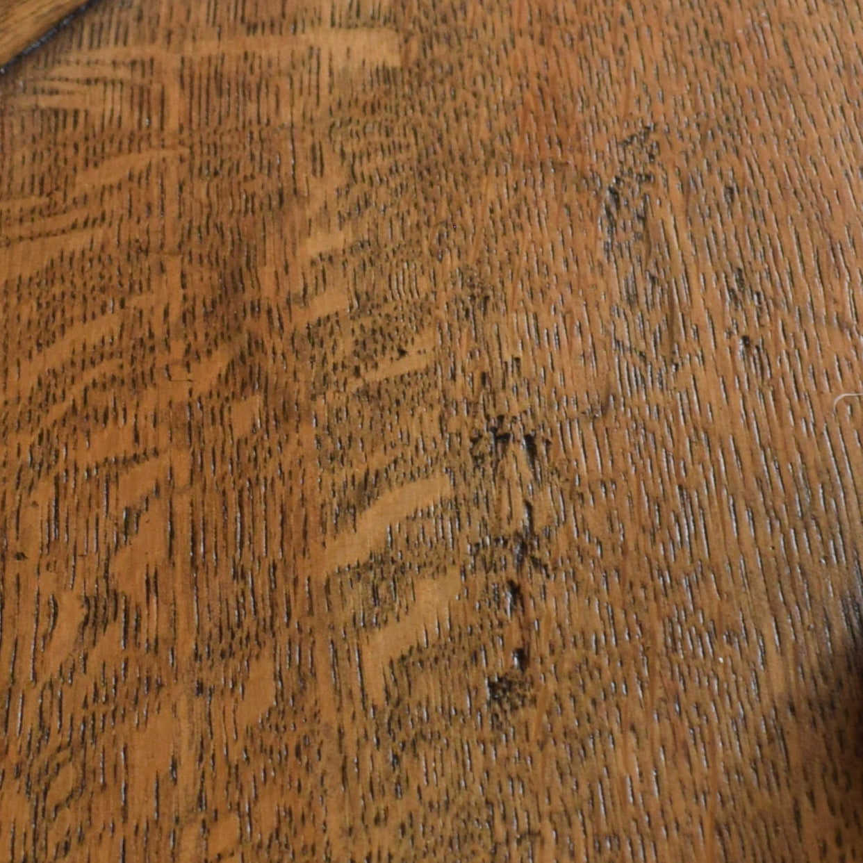 Carved Oak Court Cabinet