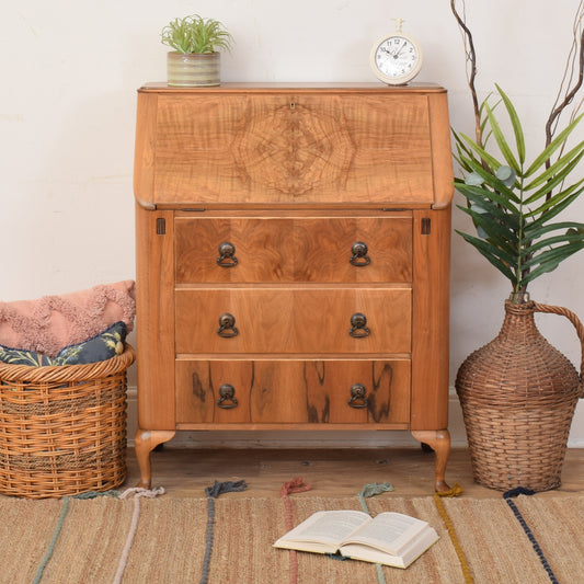 Walnut Bureau