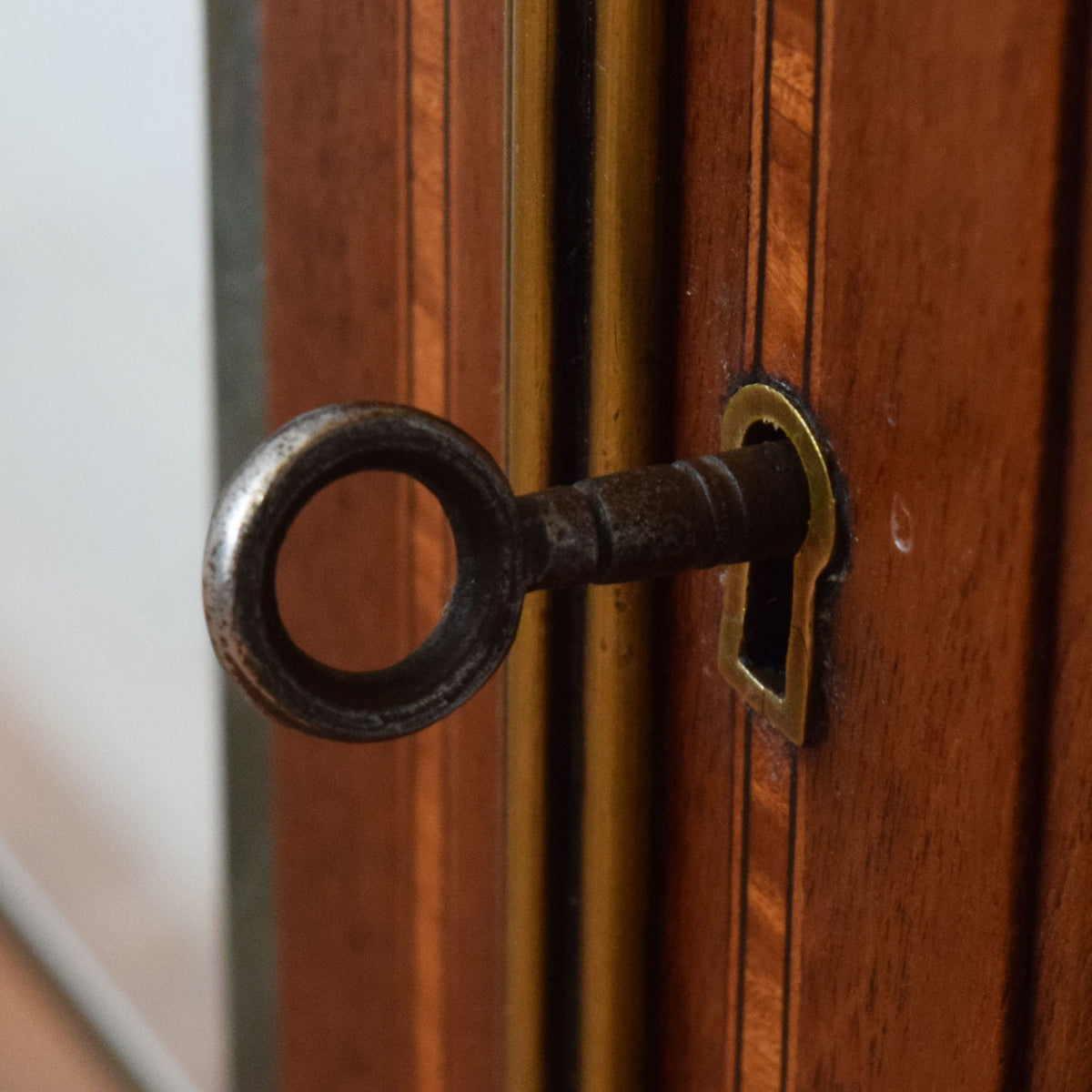 Inlaid Glazed Bookcase