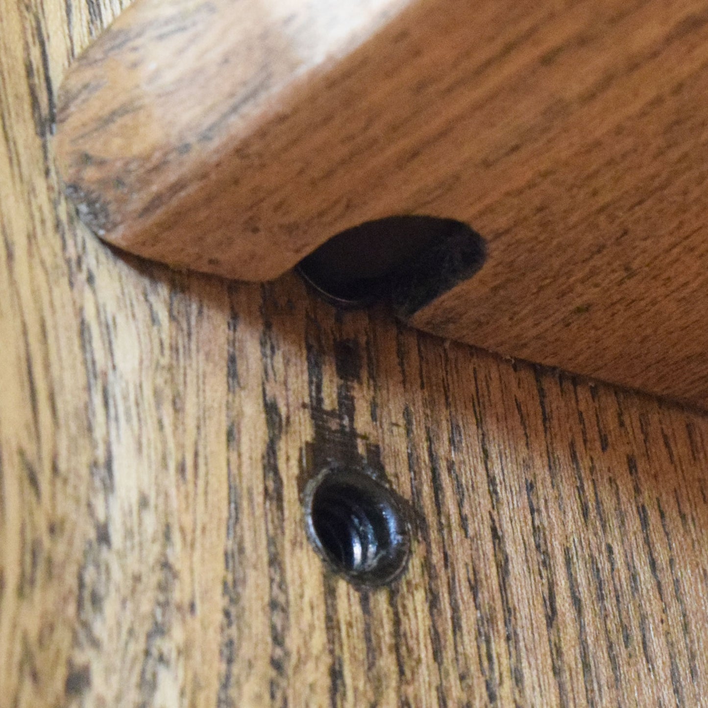 Glazed Ercol dresser