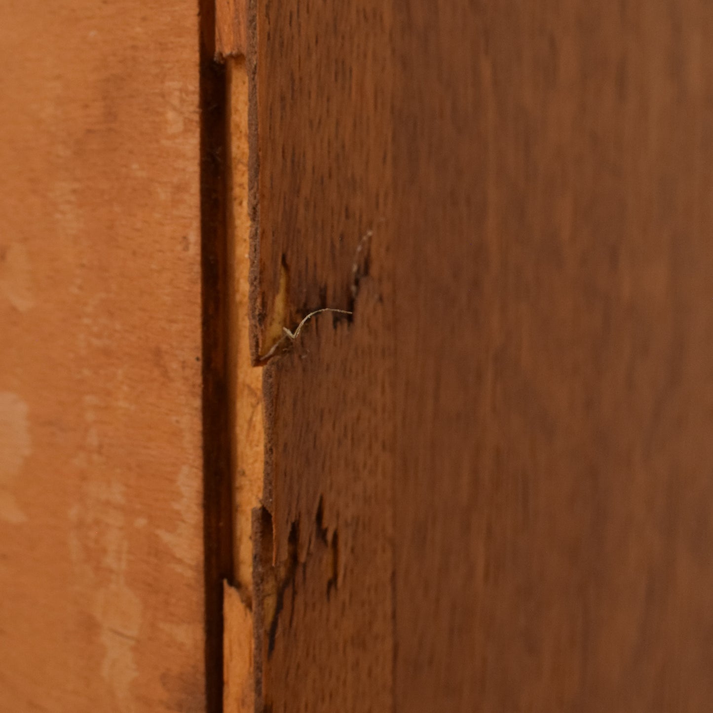 Large Dutch Cabinet