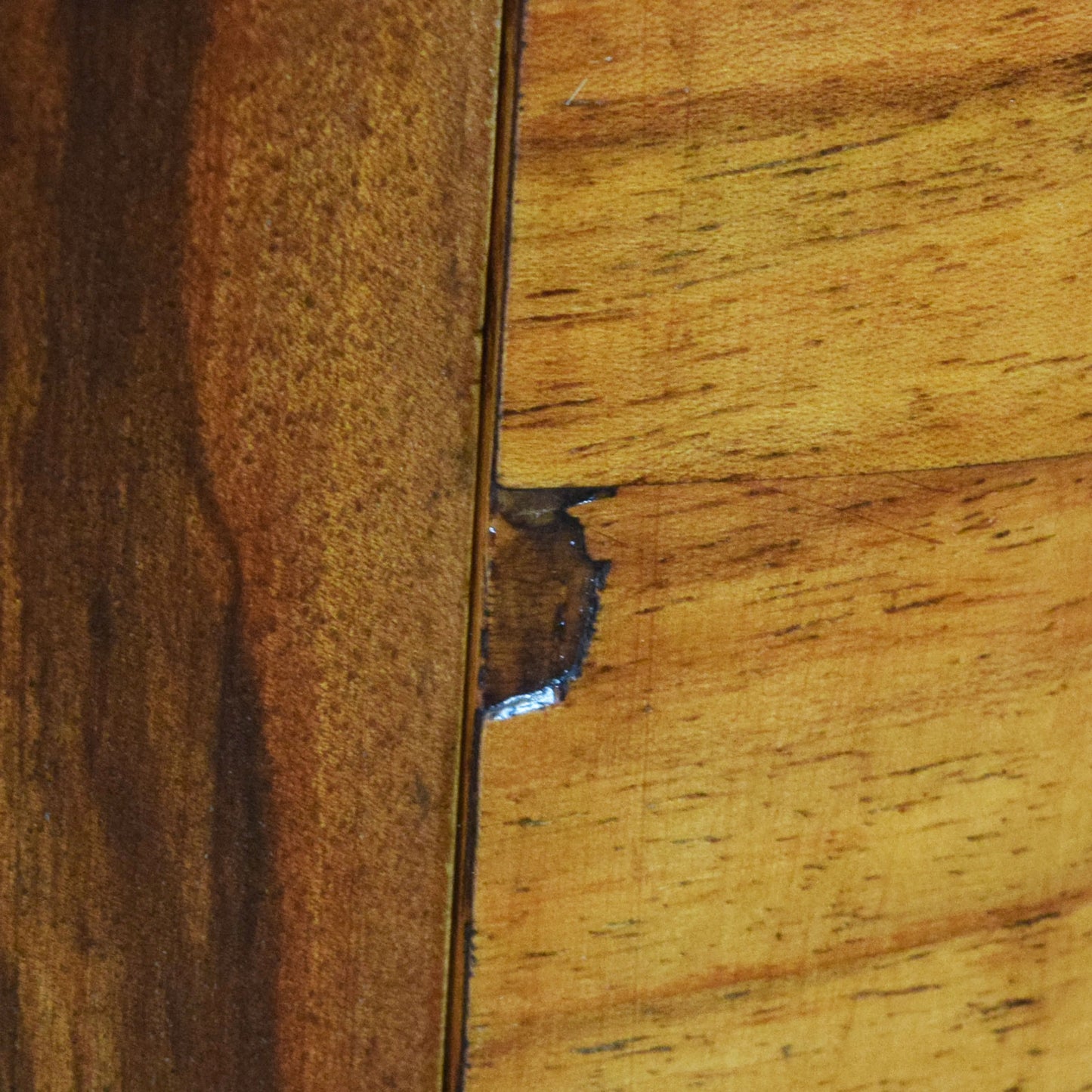 Restored Walnut Cabinet