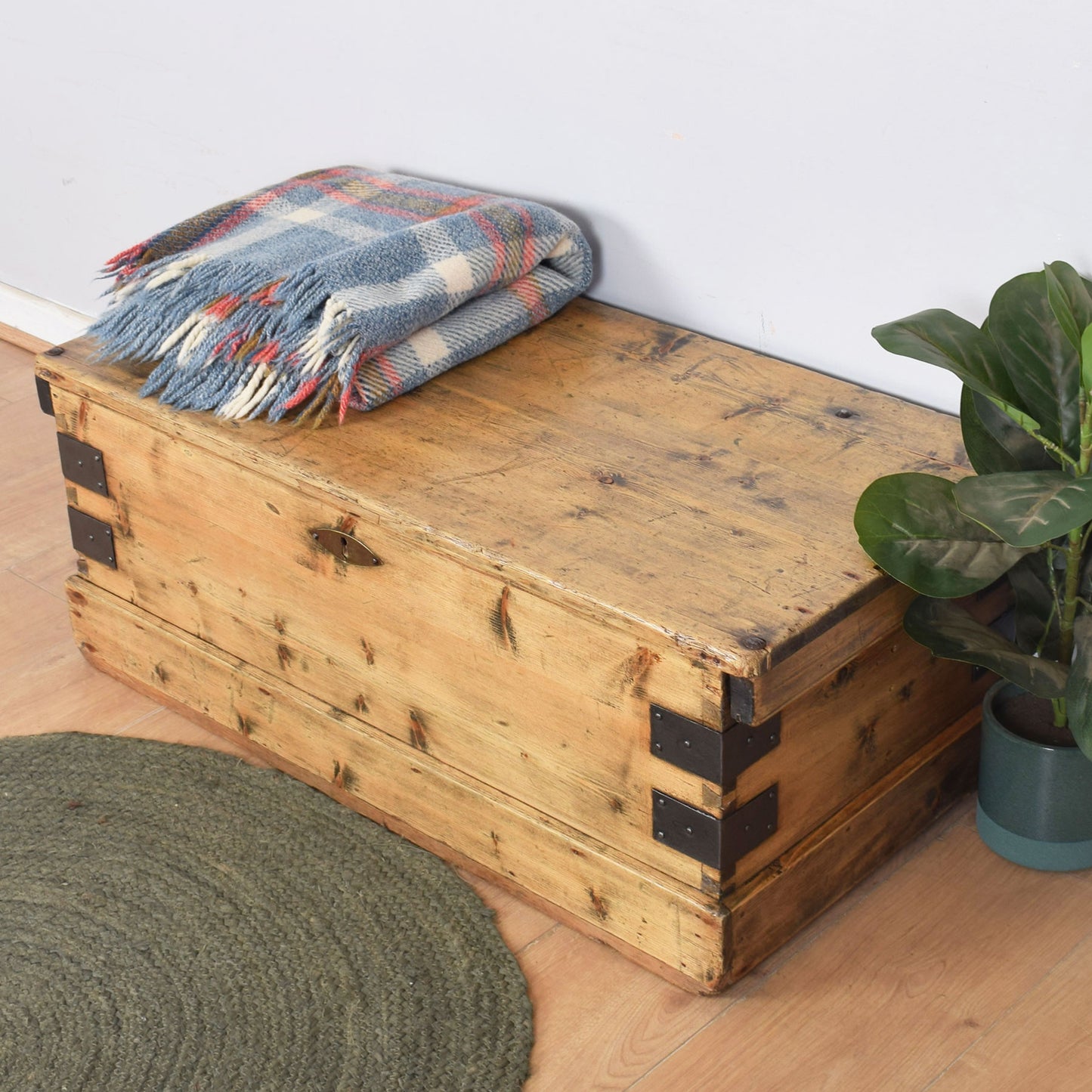 Vintage Pine Trunk