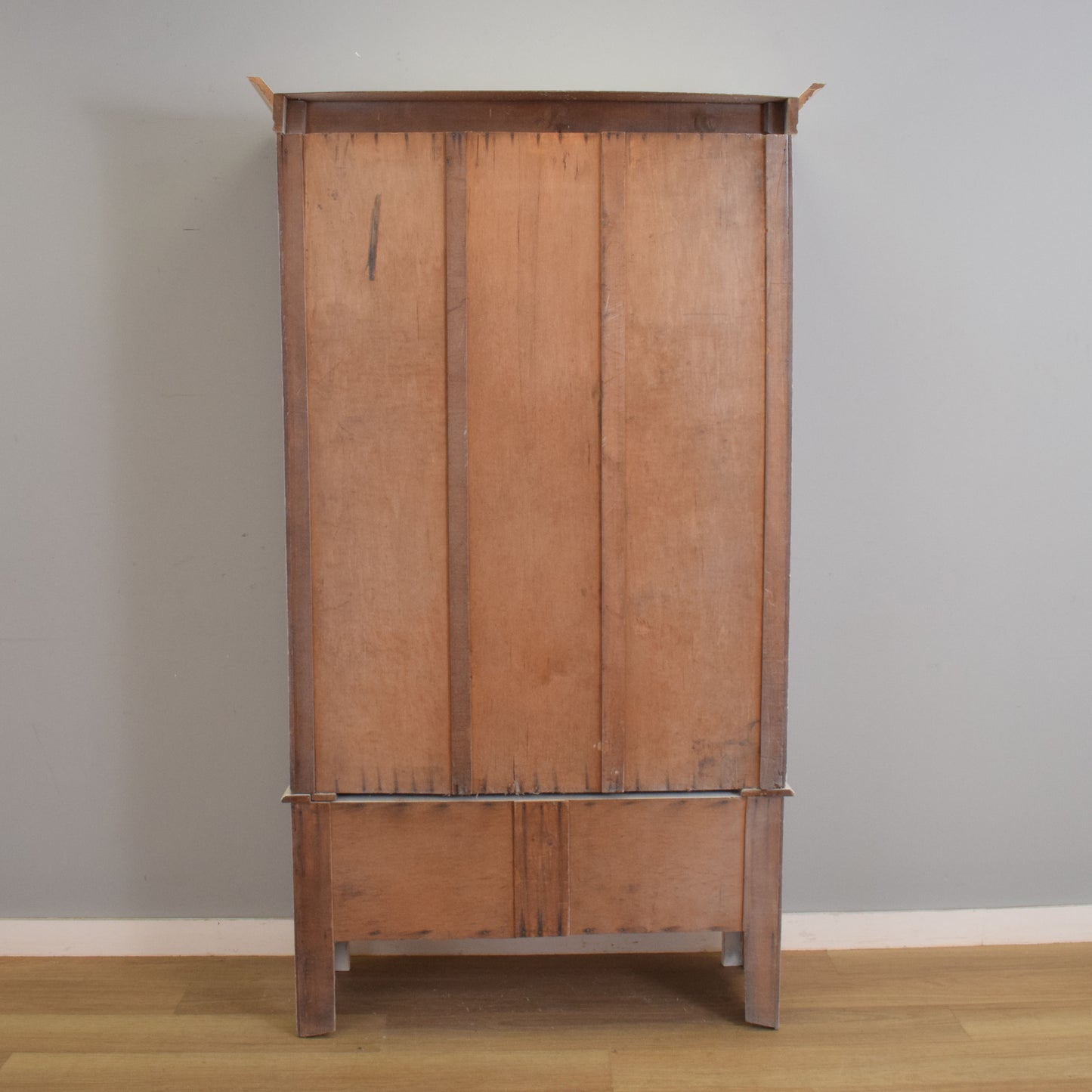 Painted Mirrored Hall Robe