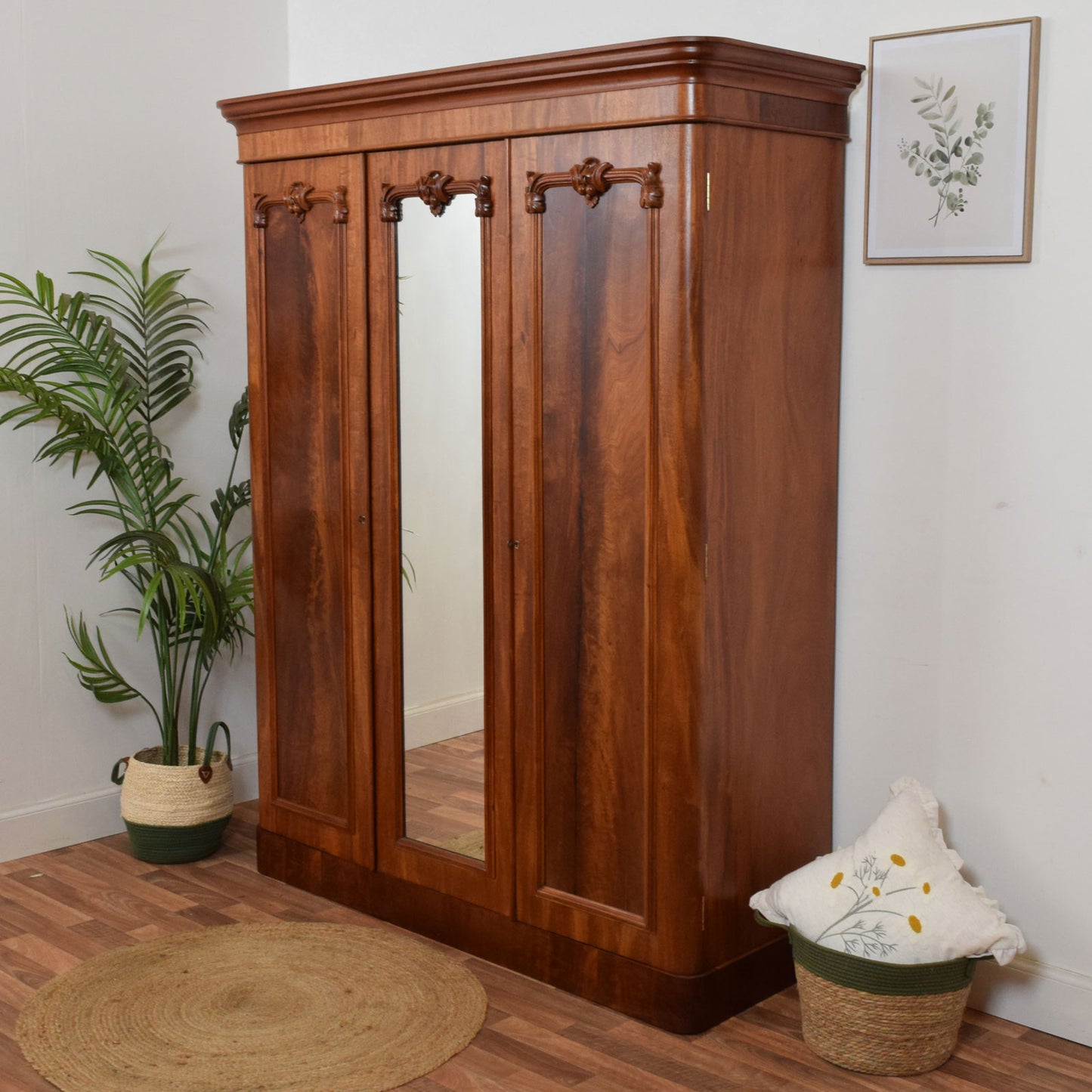 Mahogany Compactum