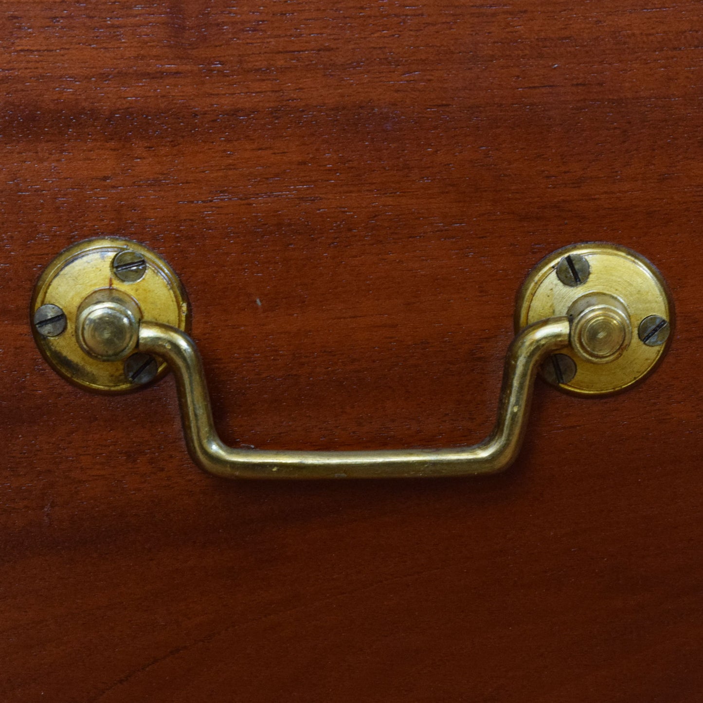 Mahogany Compactum