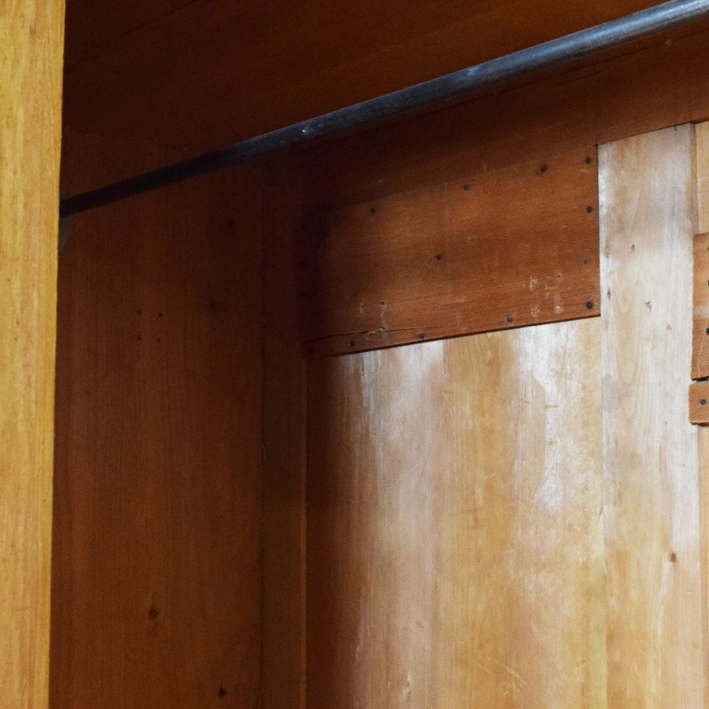 Mahogany Compactum