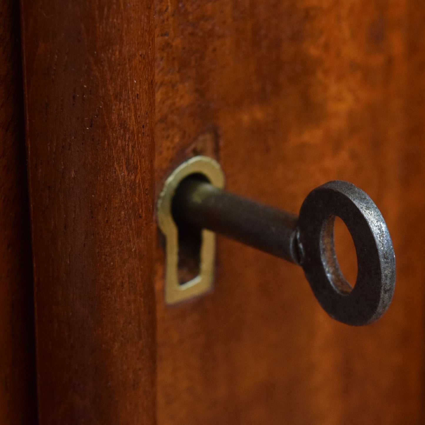 Mahogany Compactum