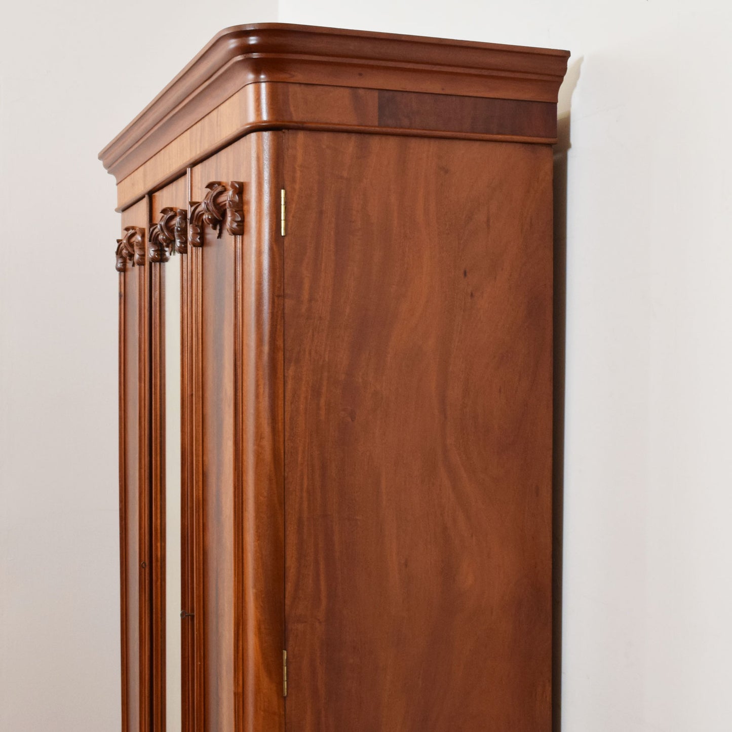 Mahogany Compactum